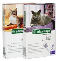 Адвантейдж 80 (Advantage 80) для кошек весом более 4 кг